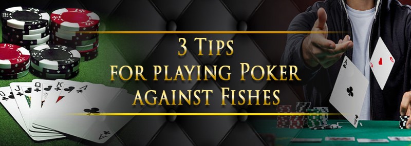 3 Tips For Playing Poker Against Fishes